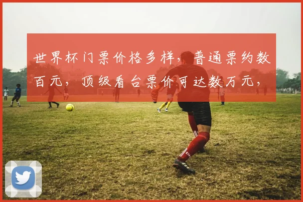 世界杯门票价格多样，普通票约数百元，顶级看台票价可达数万元，您选哪个