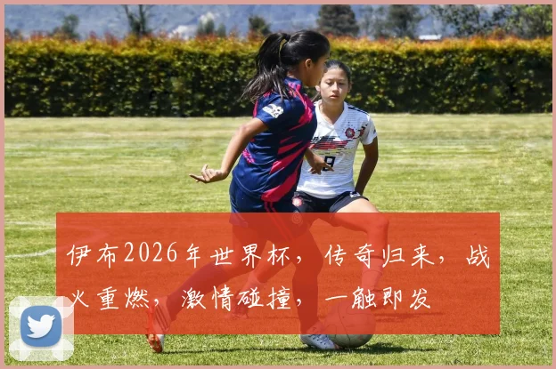 伊布2026年世界杯，传奇归来，战火重燃，激情碰撞，一触即发